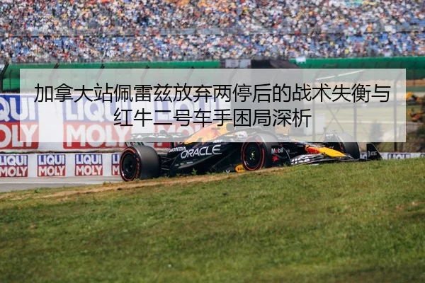 jia-na-da-zhan-pei-lei-zi-fang-qi-liang-ting-hou-de-zhan-shu-shi-heng-yu-hong-niu-er-hao-che-shou-kun-ju-shen-xi-2-788.jpg