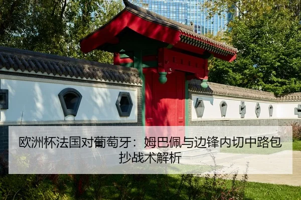 ou-zhou-bei-fa-guo-dui-pu-tao-ya-mu-ba-pei-yu-bian-feng-nei-qie-zhong-lu-bao-chao-zhan-shu-jie-xi-2-351.jpg