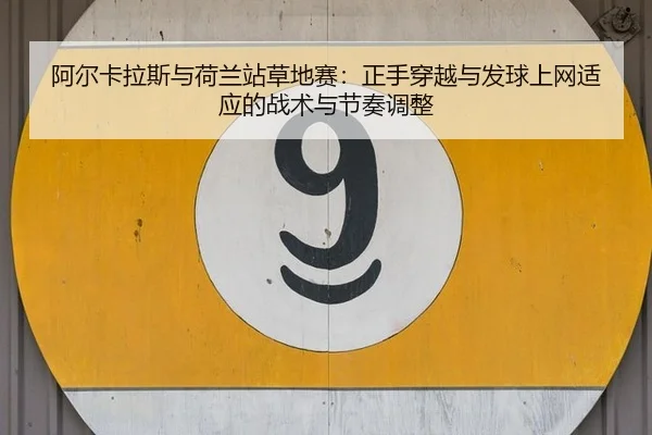 a-er-ka-la-si-yu-he-lan-zhan-cao-di-sai-zheng-shou-chuan-yue-yu-fa-qiu-shang-wang-shi-ying-de-zhan-shu-yu-jie-zou-tiao-3-629.jpg