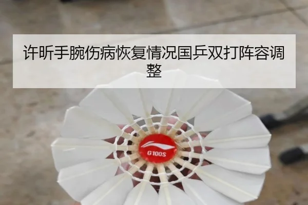 xu-xin-shou-wan-shang-bing-hui-fu-qing-kuang-guo-ping-shuang-da-zhen-rong-tiao-zheng-2-745.jpg