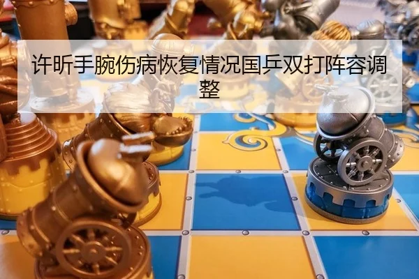 许昕手腕伤病恢复情况国乒双打阵容调整